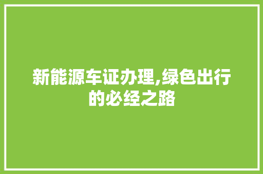 新能源车证办理,绿色出行的必经之路