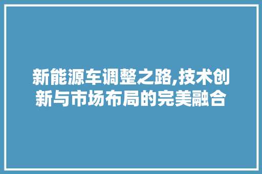 新能源车调整之路,技术创新与市场布局的完美融合