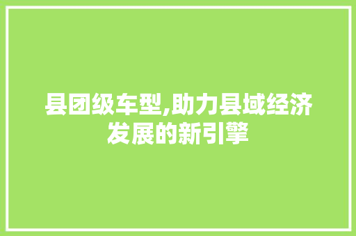 县团级车型,助力县域经济发展的新引擎