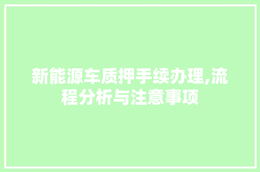 新能源车质押手续办理,流程分析与注意事项