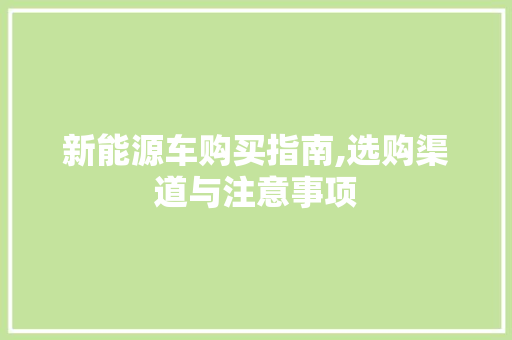 新能源车购买指南,选购渠道与注意事项