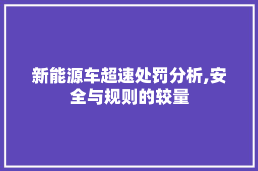 新能源车超速处罚分析,安全与规则的较量