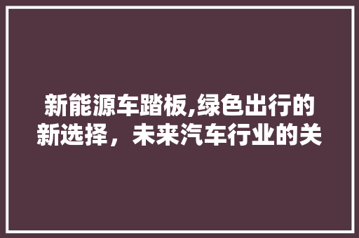 新能源车踏板,绿色出行的新选择，未来汽车行业的关键部件