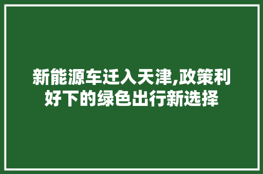 新能源车迁入天津,政策利好下的绿色出行新选择