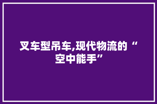 叉车型吊车,现代物流的“空中能手”
