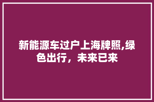 新能源车过户上海牌照,绿色出行，未来已来