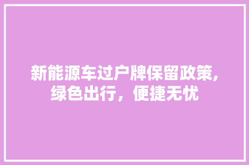 新能源车过户牌保留政策,绿色出行，便捷无忧