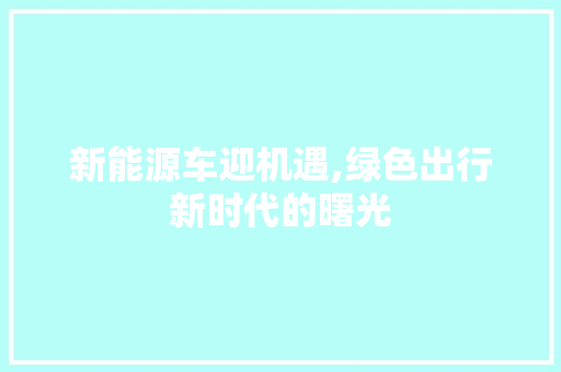新能源车迎机遇,绿色出行新时代的曙光