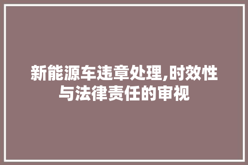 新能源车违章处理,时效性与法律责任的审视