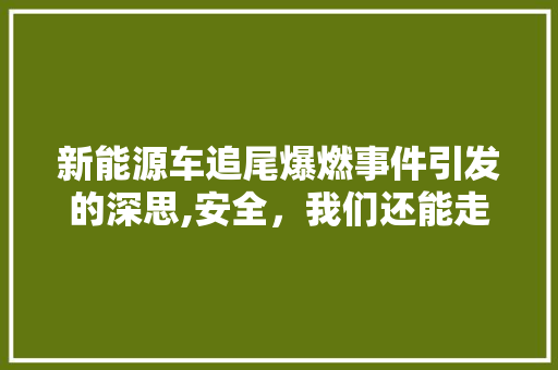 新能源车追尾爆燃事件引发的深思,安全，我们还能走多远