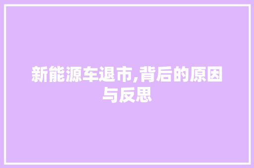 新能源车退市,背后的原因与反思