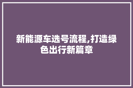 新能源车选号流程,打造绿色出行新篇章