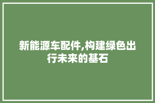 新能源车配件,构建绿色出行未来的基石 汽车配件