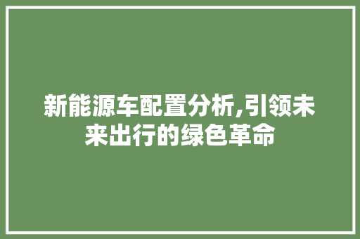 新能源车配置分析,引领未来出行的绿色革命