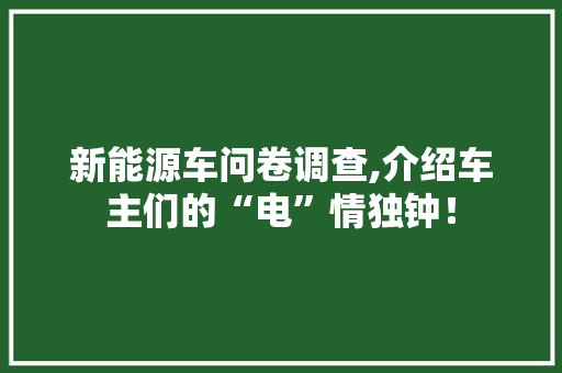 新能源车问卷调查,介绍车主们的“电”情独钟！