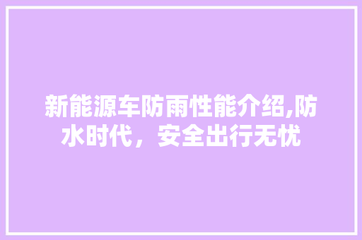 新能源车防雨性能介绍,防水时代，安全出行无忧