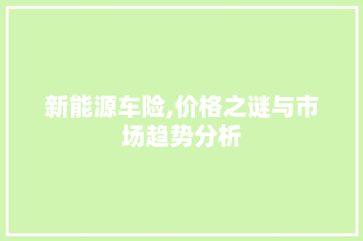 新能源车险,价格之谜与市场趋势分析 汽车配件