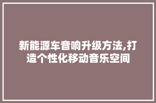 新能源车音响升级方法,打造个性化移动音乐空间