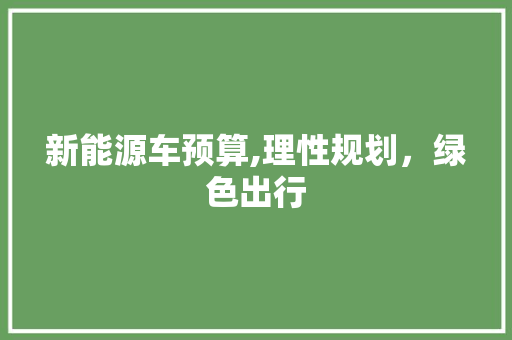 新能源车预算,理性规划，绿色出行