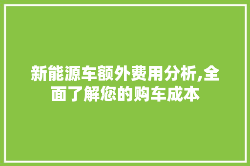 新能源车额外费用分析,全面了解您的购车成本