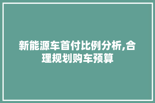 新能源车首付比例分析,合理规划购车预算