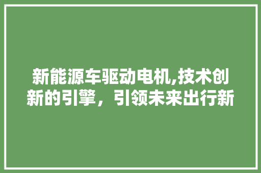 新能源车驱动电机,技术创新的引擎，引领未来出行新风尚 底盘配件