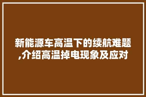 新能源车高温下的续航难题,介绍高温掉电现象及应对步骤