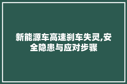 新能源车高速刹车失灵,安全隐患与应对步骤