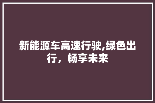 新能源车高速行驶,绿色出行，畅享未来
