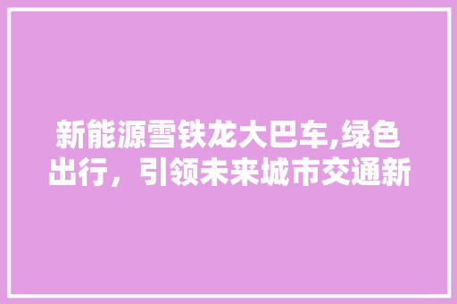 新能源雪铁龙大巴车,绿色出行，引领未来城市交通新潮流