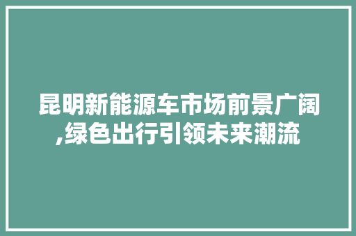 昆明新能源车市场前景广阔,绿色出行引领未来潮流