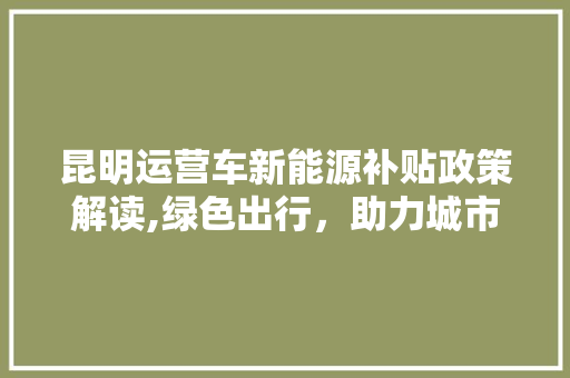 昆明运营车新能源补贴政策解读,绿色出行，助力城市可持续发展