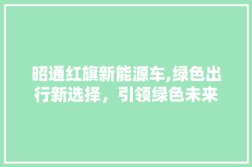 昭通红旗新能源车,绿色出行新选择，引领绿色未来 新能源汽车