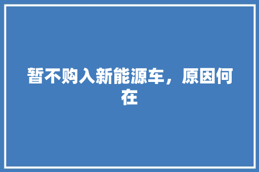 暂不购入新能源车，原因何在