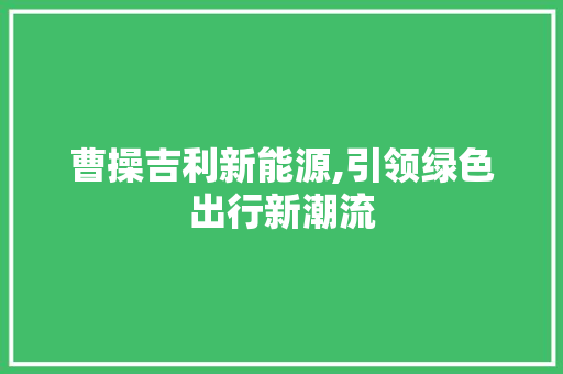 曹操吉利新能源,引领绿色出行新潮流