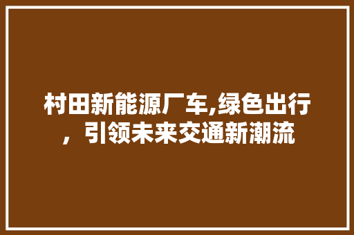 村田新能源厂车,绿色出行，引领未来交通新潮流 新能源汽车