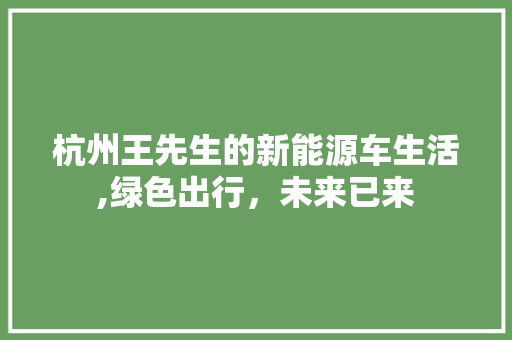 杭州王先生的新能源车生活,绿色出行，未来已来
