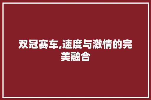 双冠赛车,速度与激情的完美融合