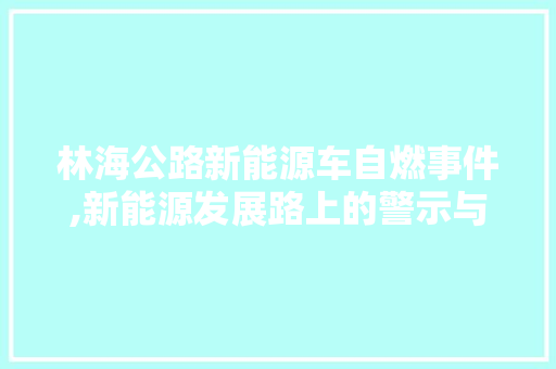 林海公路新能源车自燃事件,新能源发展路上的警示与反思