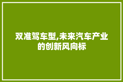 双准驾车型,未来汽车产业的创新风向标