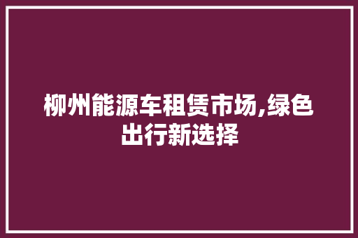 柳州能源车租赁市场,绿色出行新选择