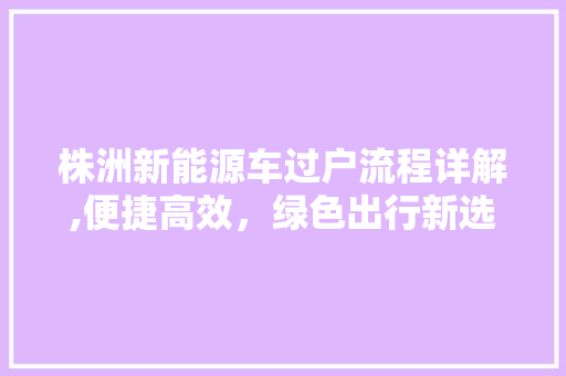 株洲新能源车过户流程详解,便捷高效，绿色出行新选择