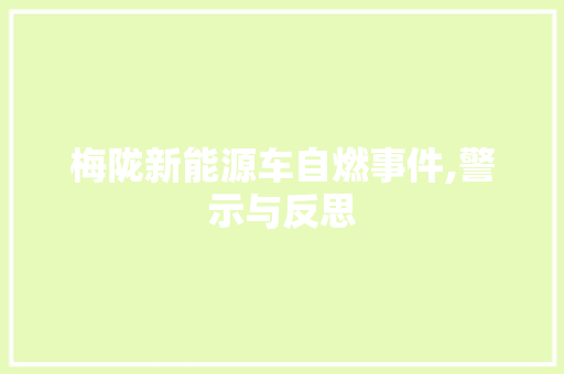 梅陇新能源车自燃事件,警示与反思