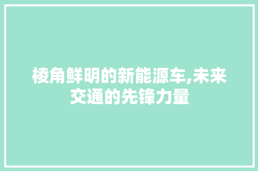棱角鲜明的新能源车,未来交通的先锋力量