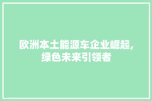 欧洲本土能源车企业崛起,绿色未来引领者