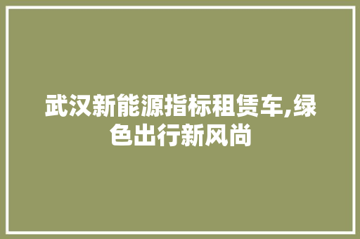 武汉新能源指标租赁车,绿色出行新风尚