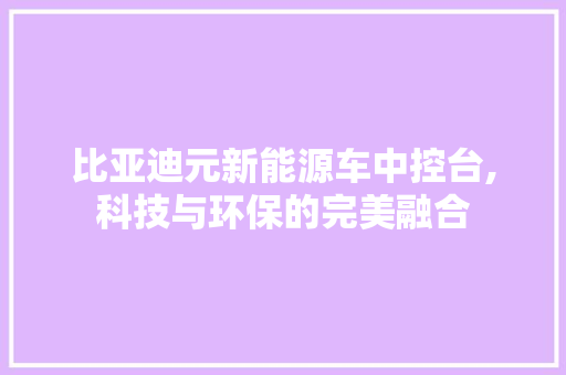 比亚迪元新能源车中控台,科技与环保的完美融合