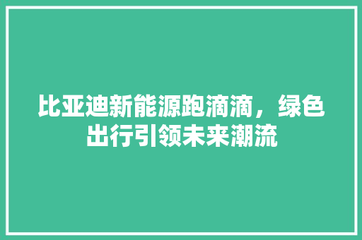比亚迪新能源跑滴滴，绿色出行引领未来潮流