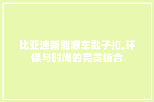 比亚迪新能源车匙子扣,环保与时尚的完美结合