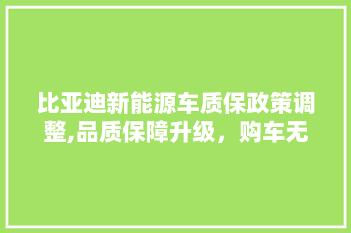 比亚迪新能源车质保政策调整,品质保障升级，购车无忧